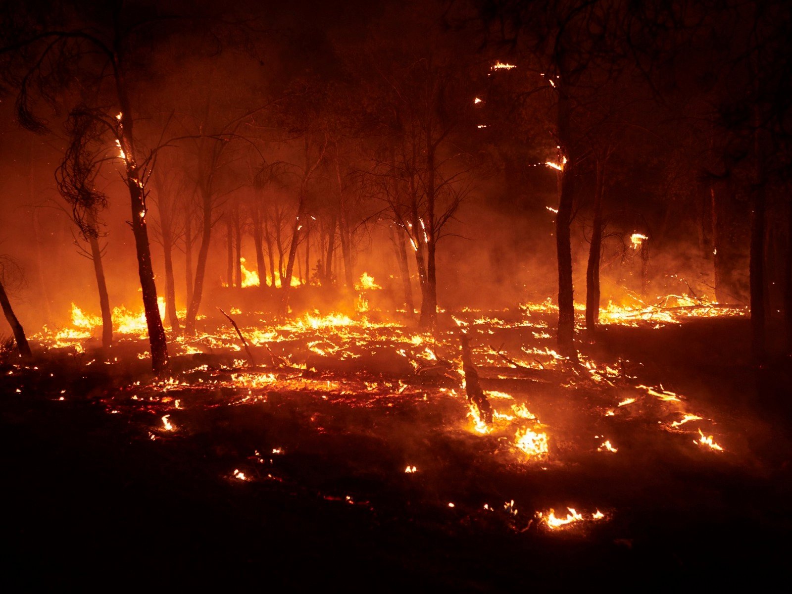 Trei oameni au murit până acum în incendiile devastatoare din Spania / 500.000 de hectare de teren, distruse de flăcări în Europa, în această vară