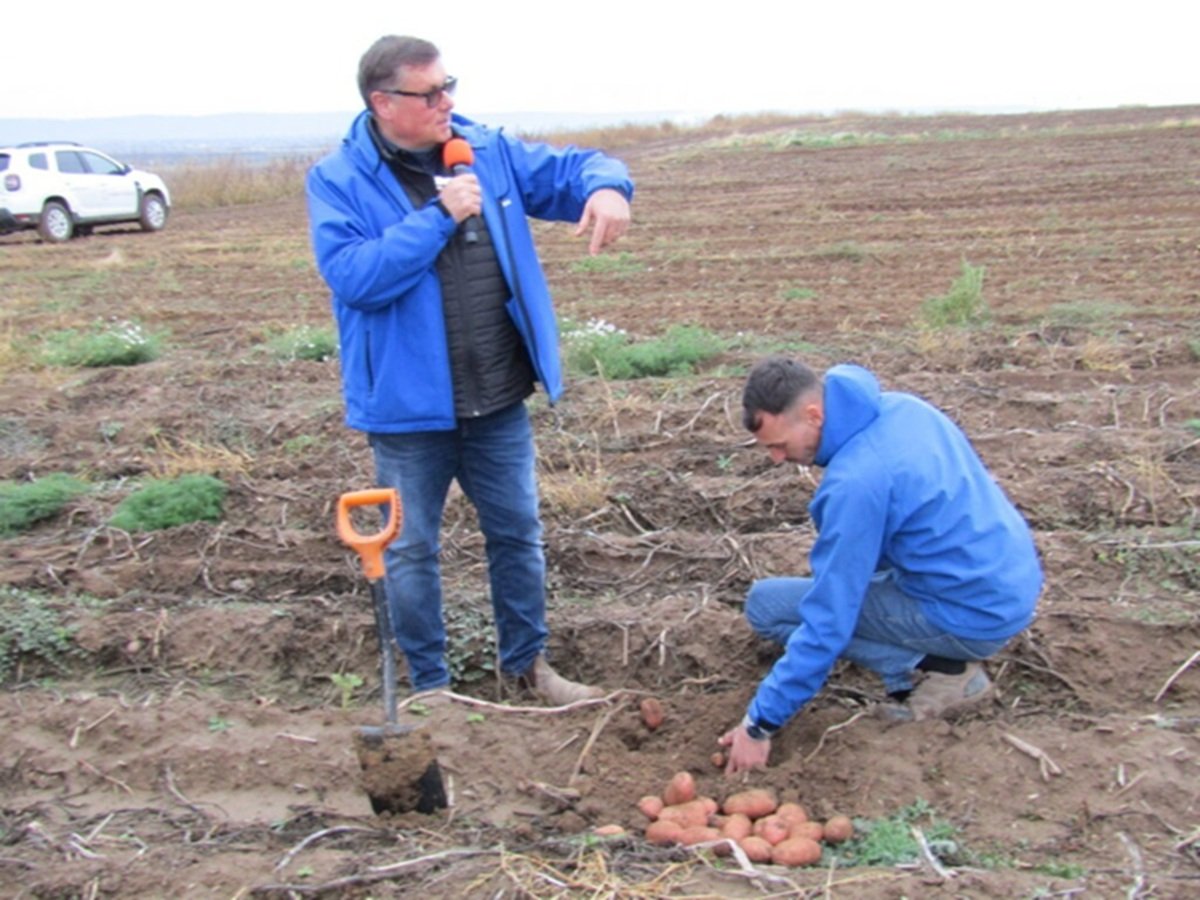 VIDEO | Cartofi românești pe raftul magazinelor tot timpul anului/ Nicolae Șerban (Șerban Holding): „Totul pleacă de la pământ, de la respectul pe care i-l arăți pământului”